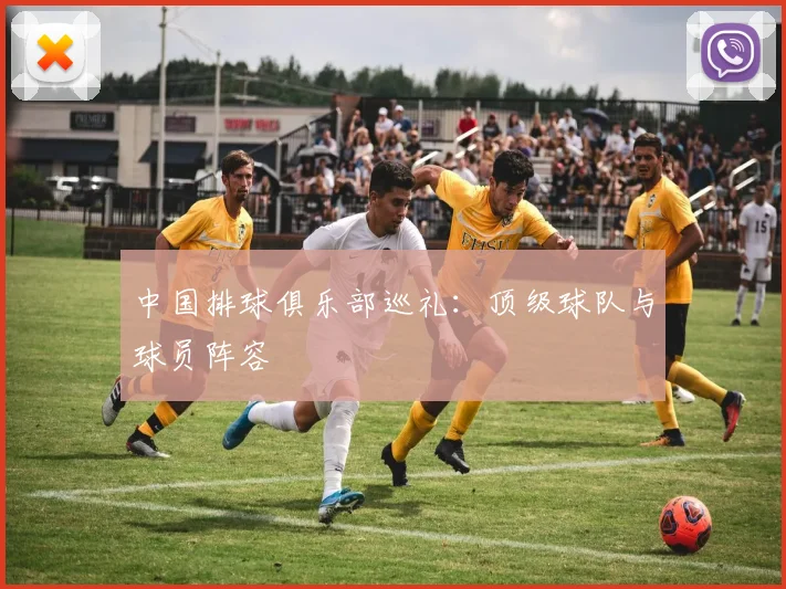中国排球俱乐部巡礼：顶级球队与球员阵容